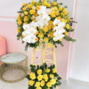 Kệ Hoa Khai Trương Tấn Đạt