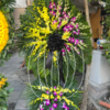 Lẵng hoa Lan vip hoa tươi