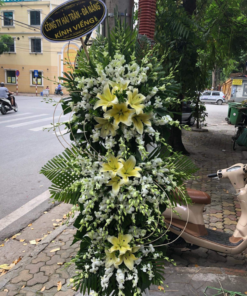 Hoa Lan Viếng Tang Lễ