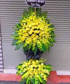 Lẵng hoa Lan