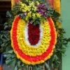 Hoa chia buon dep y nghia